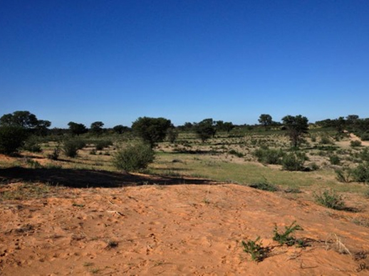 Lesego Pule Foundation